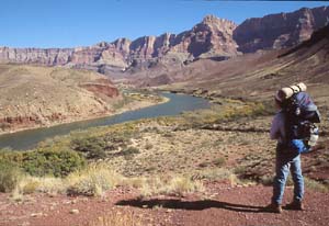 A backpacker looks back.  Escalante Route.  Grand Canyon Natinoal Park  (c) Rob Kleine, All Rights Reserved.  www.gentleye.com